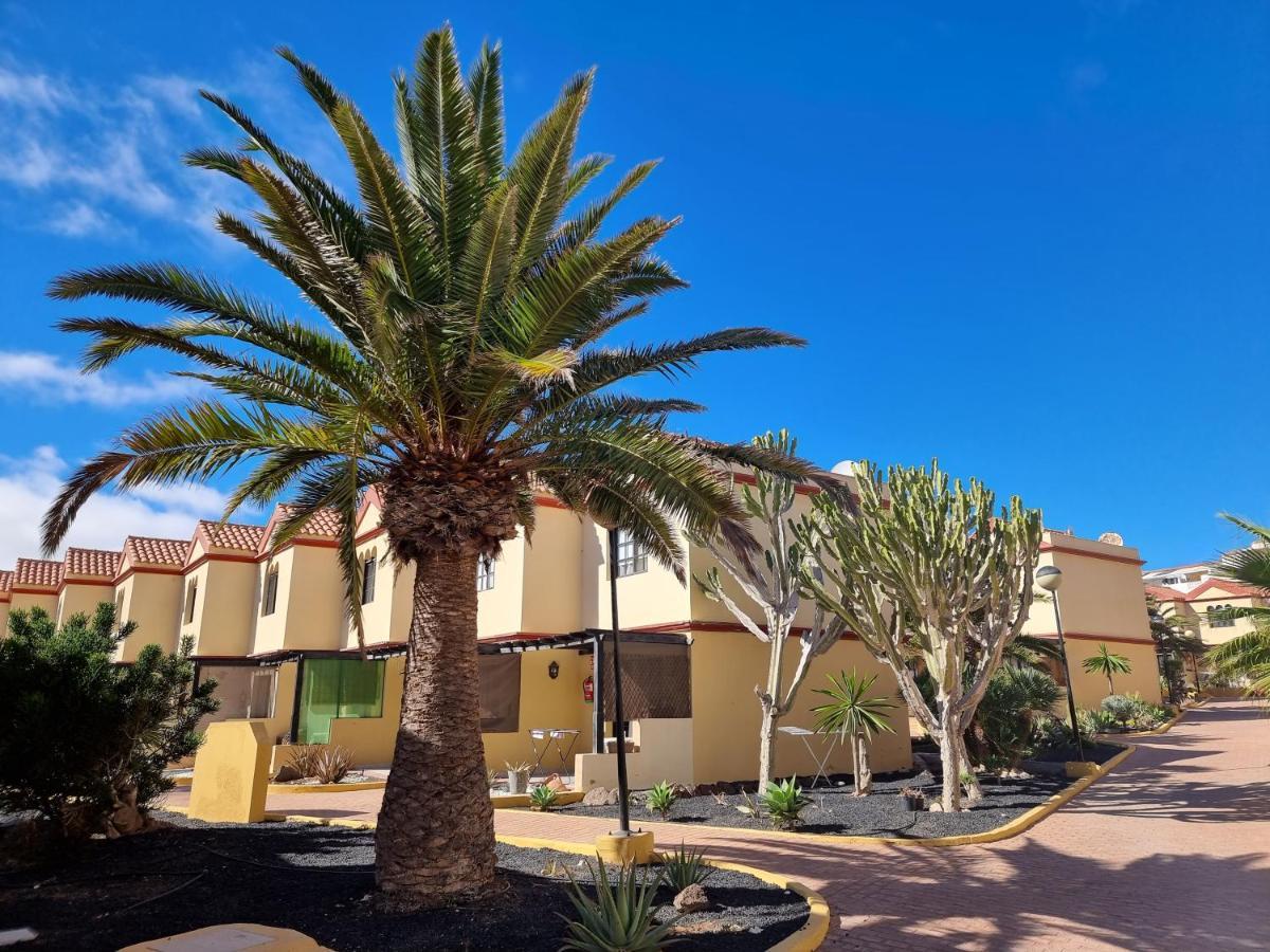 Ocean Forty C Apt. Green Oasis Costa Calma Fue Eksteriør bilde