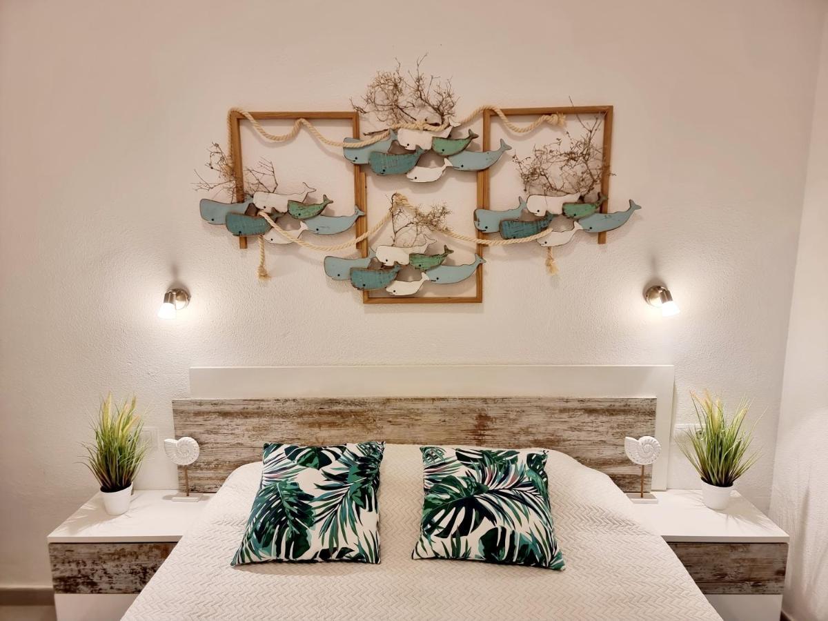 Ocean Forty C Apt. Green Oasis Costa Calma Fue Eksteriør bilde