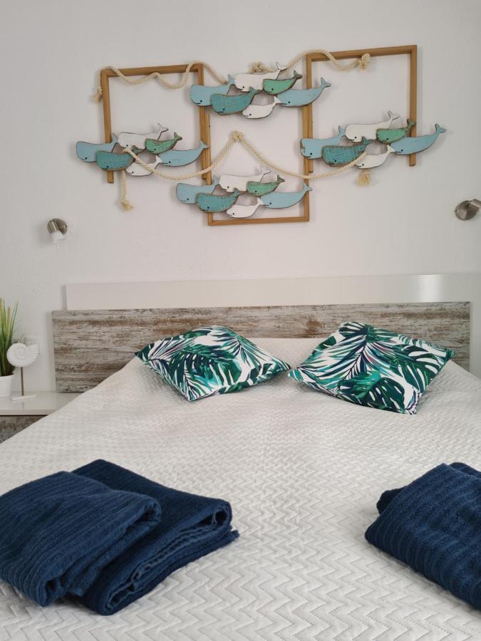 Ocean Forty C Apt. Green Oasis Costa Calma Fue Eksteriør bilde